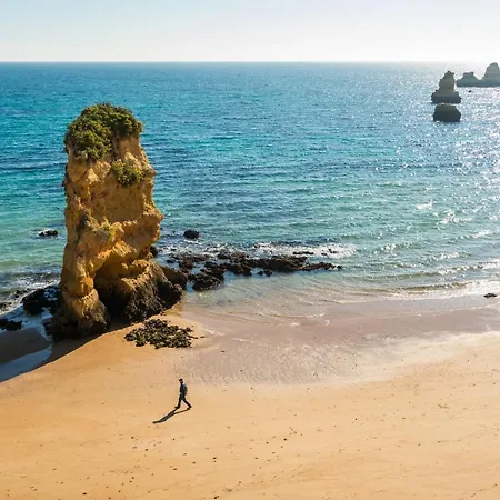 Dom Manuel * 拉哥斯