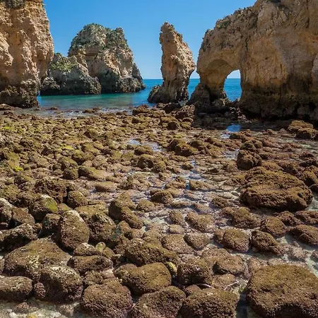 Dom Manuel 拉哥斯