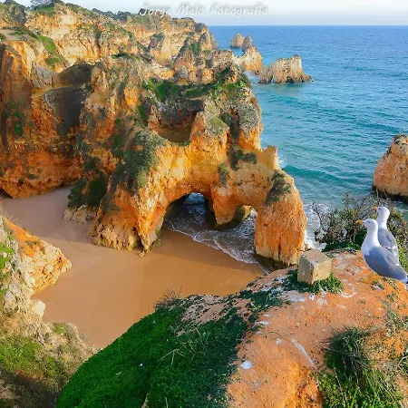 Dom Manuel * 拉哥斯