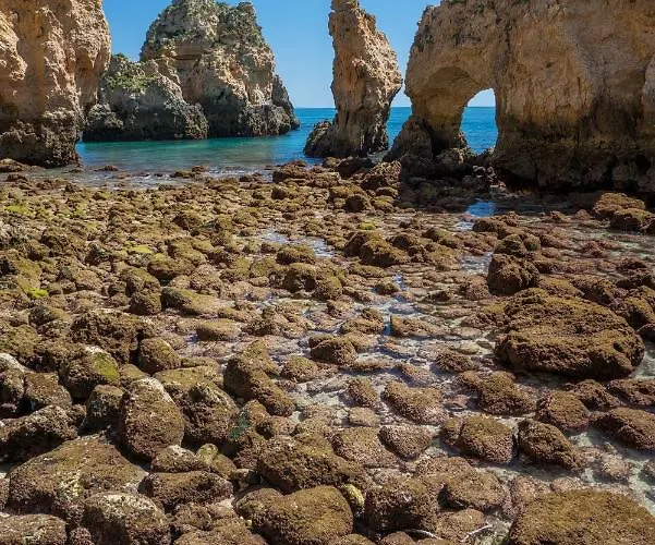 Dom Manuel 라고스