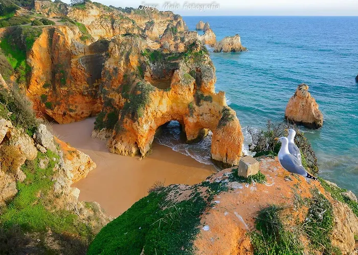 Dom Manuel * 라고스