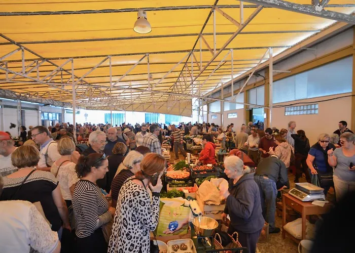 Dom Manuel 라고스