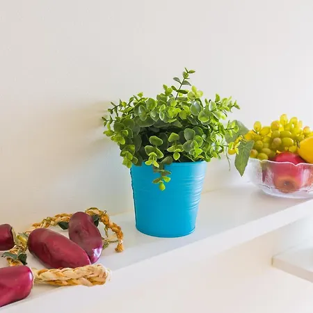 Appartement Dom Manuel Lagos